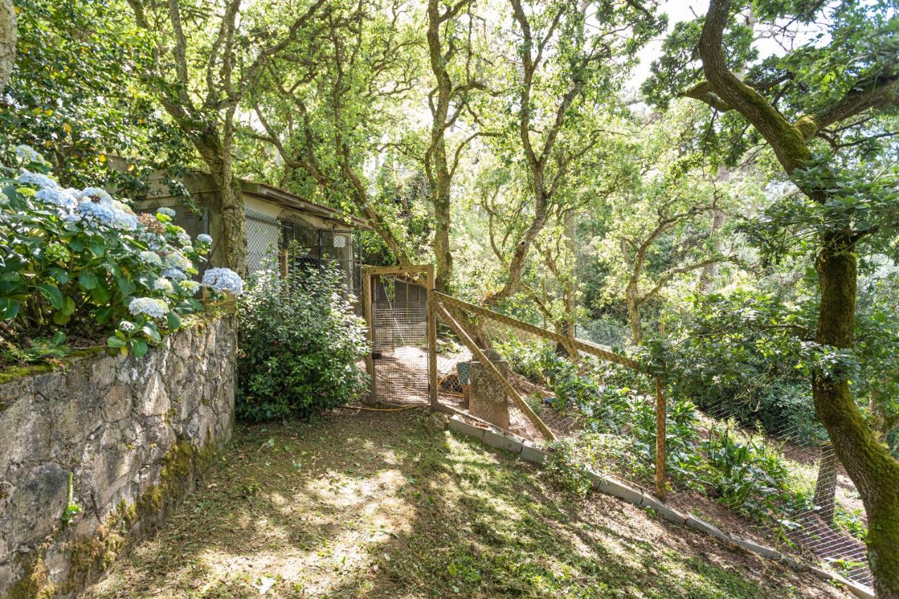 Quinta Biologica, Com Vista, Na Serra De Sintra Exterior foto