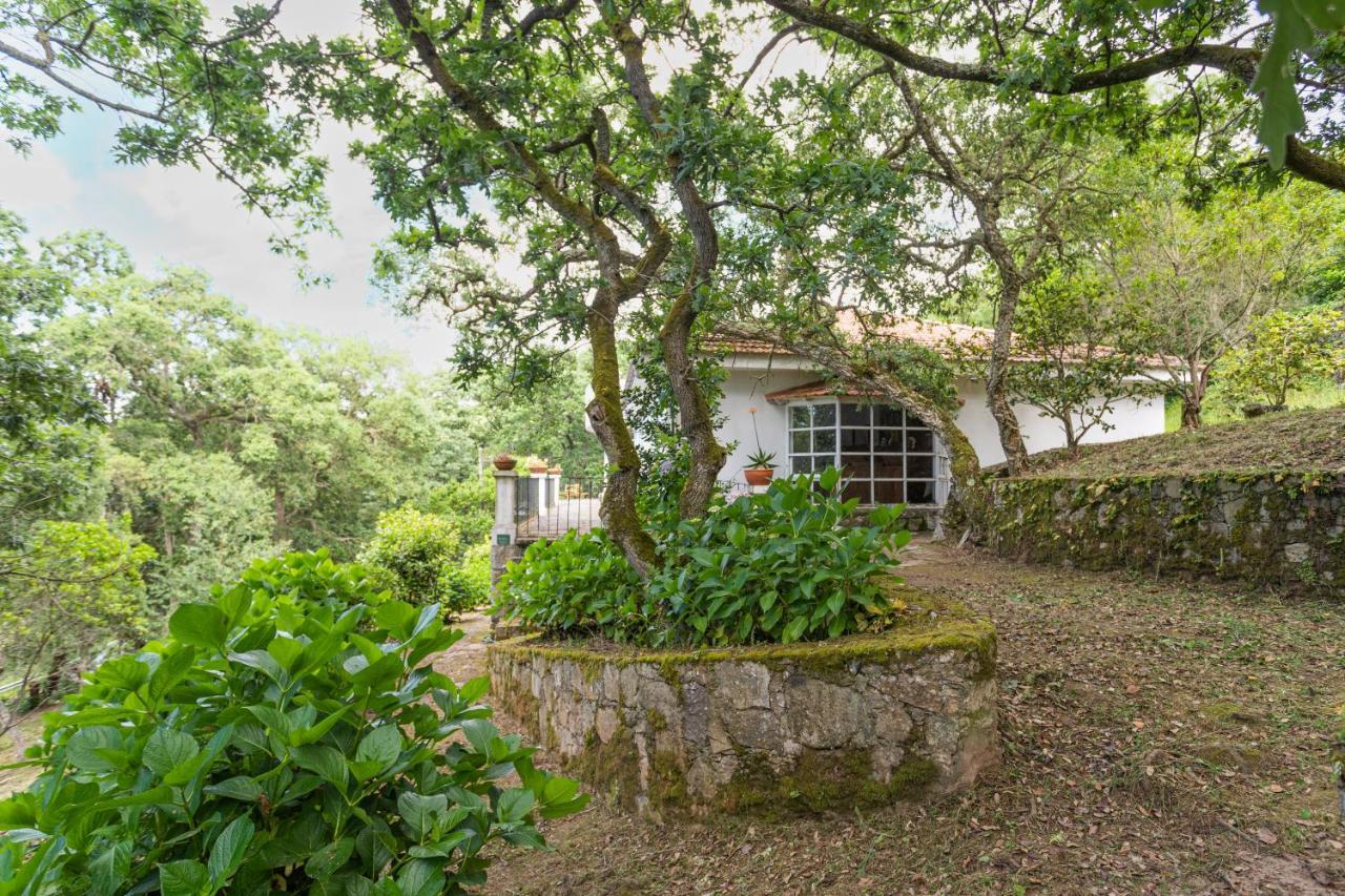 Quinta Biologica, Com Vista, Na Serra De Sintra Exterior foto