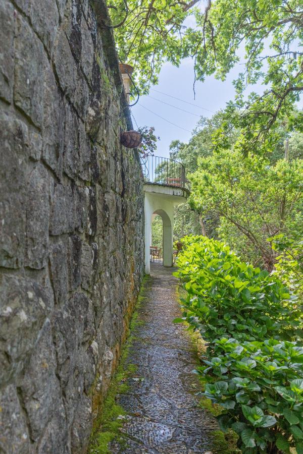 Quinta Biologica, Com Vista, Na Serra De Sintra Exterior foto